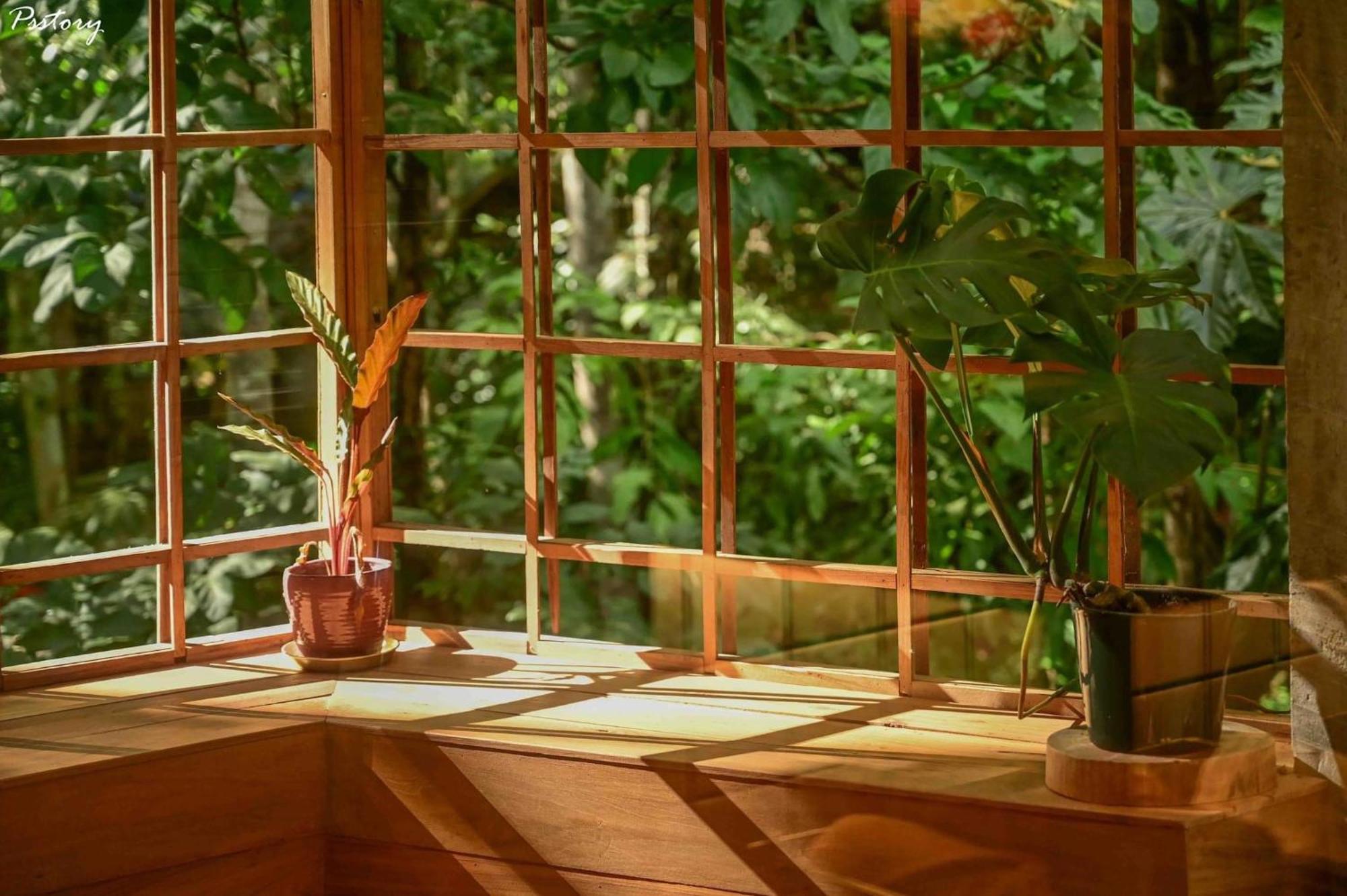 Woo Ma Ca Moo Villa Chiang Mai Ngoại thất bức ảnh